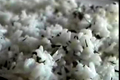 How To Make Coconut Rice